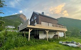 Fjordgard Mountain Aurora View